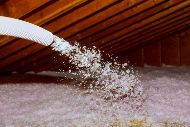 Best Insulation Maintenance and Repair in Caledonia, MI