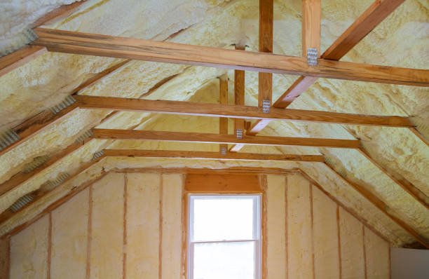 Best Commercial Insulation in Caledonia, MI