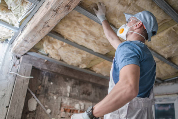 Best Insulation Installation Services in Caledonia, MI